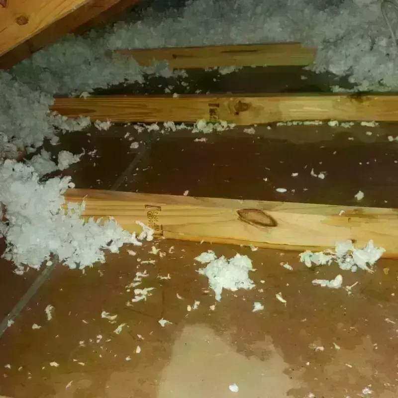 Attic Water Damage in Three Way, TN