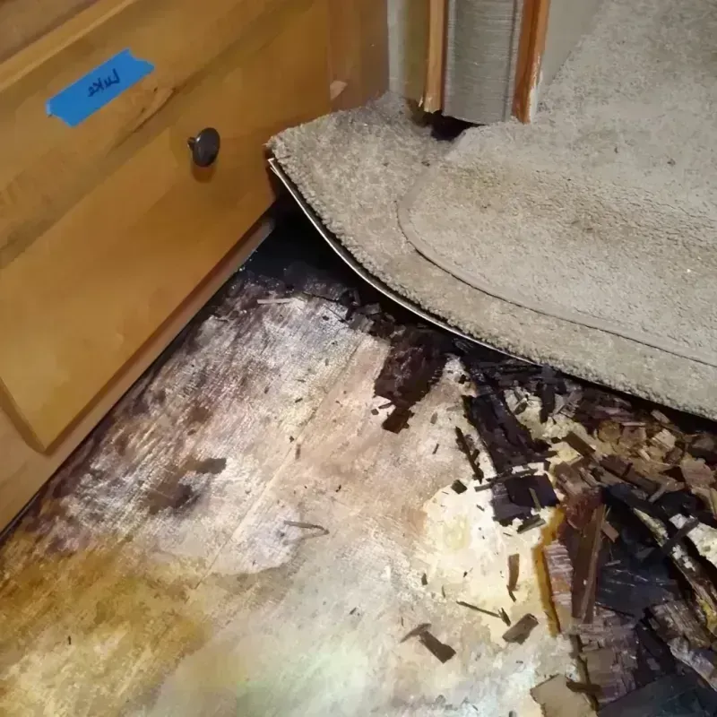 Wood Floor Water Damage in Three Way, TN